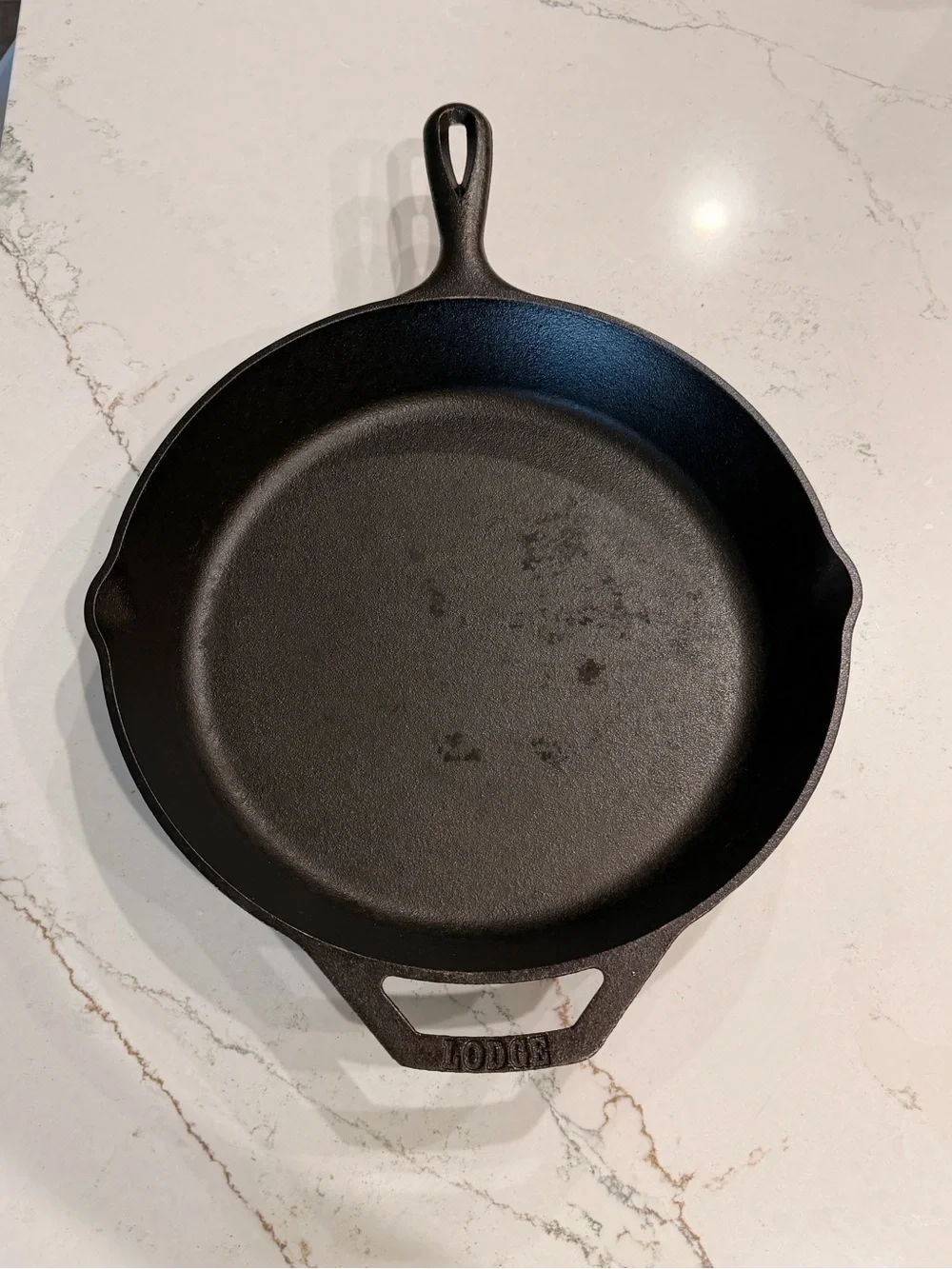 Lodge 10SK Cast Iron Skillet Pan 12